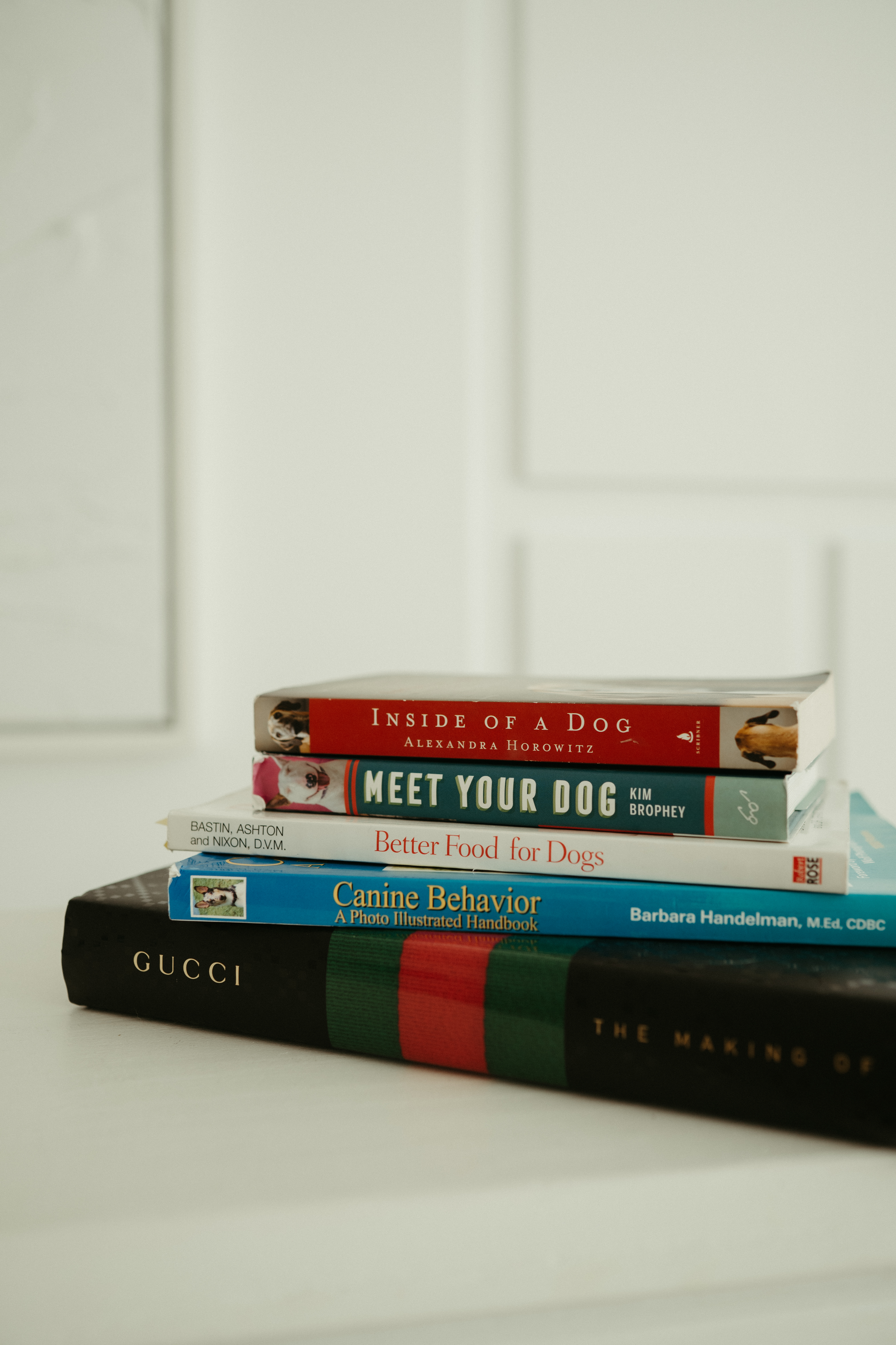 Stack of dog training books